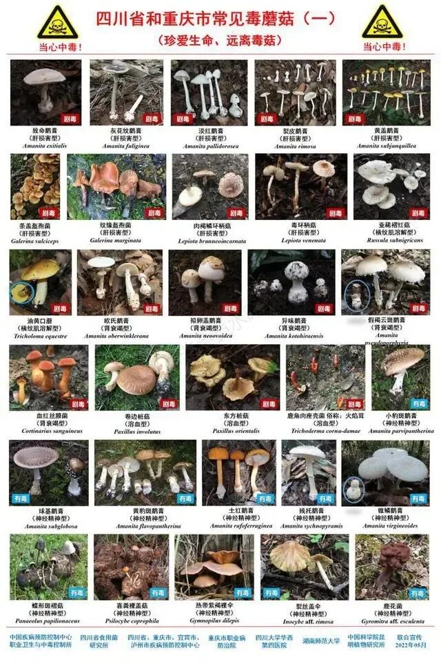 1764659245992047035.jpg 123.jpg