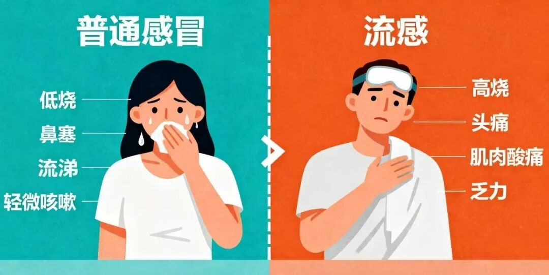 1764835900643020241.png 图片3.png